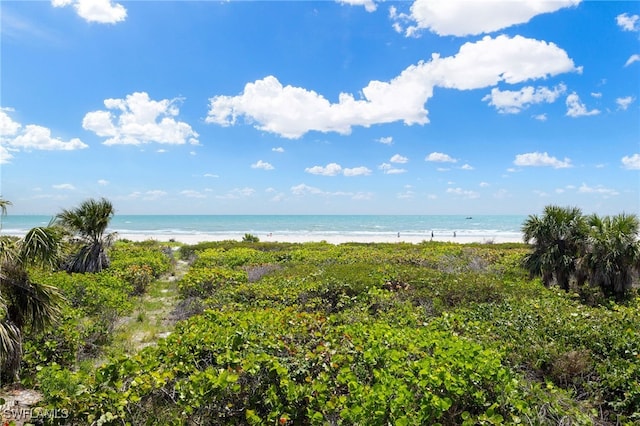 water view featuring a view of the beach