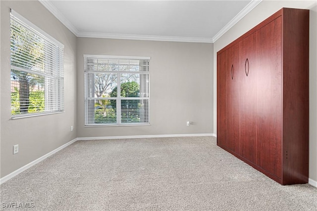 unfurnished bedroom featuring crown molding and light carpet