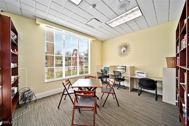 office area featuring carpet flooring and a drop ceiling