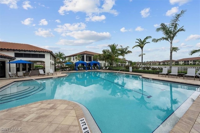 view of swimming pool with a patio