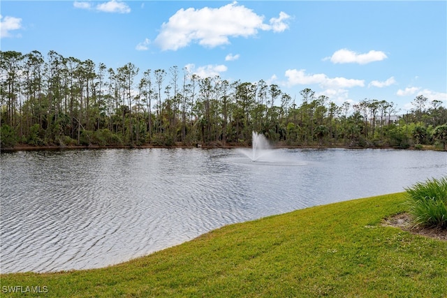 property view of water