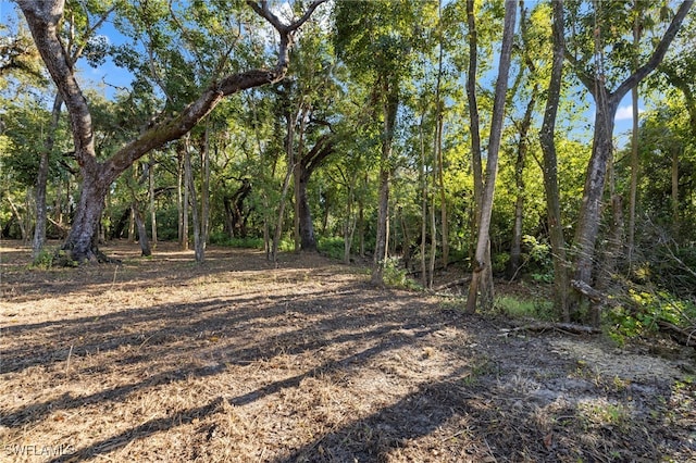 14330 Cemetery Rd, Fort Myers, FL 33905 - photo 17