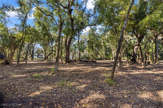 14330 Cemetery Rd, Fort Myers, FL 33905 - photo 18