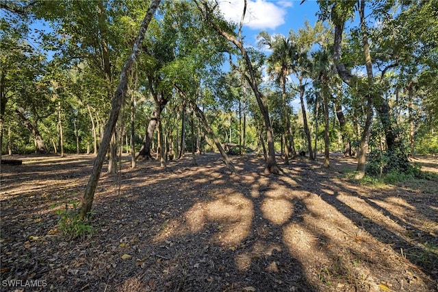 14330 Cemetery Rd, Fort Myers, FL 33905 - photo 19