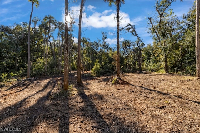 14330 Cemetery Rd, Fort Myers, FL 33905 - photo 20