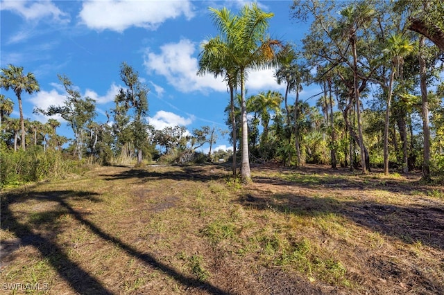 14330 Cemetery Rd, Fort Myers, FL 33905 - photo 22