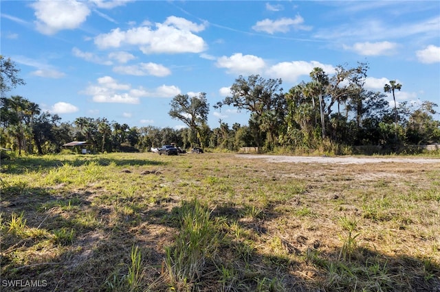 14330 Cemetery Rd, Fort Myers, FL 33905 - photo 24