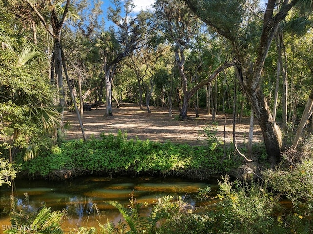 14330 Cemetery Rd, Fort Myers, FL 33905 - photo 28