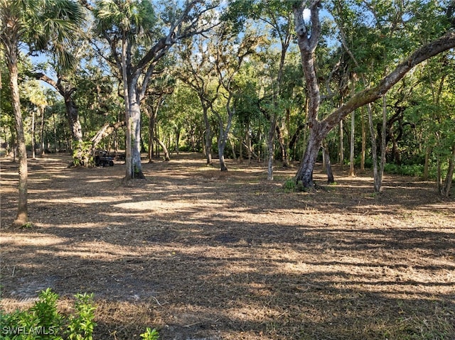 14330 Cemetery Rd, Fort Myers, FL 33905 - photo 29