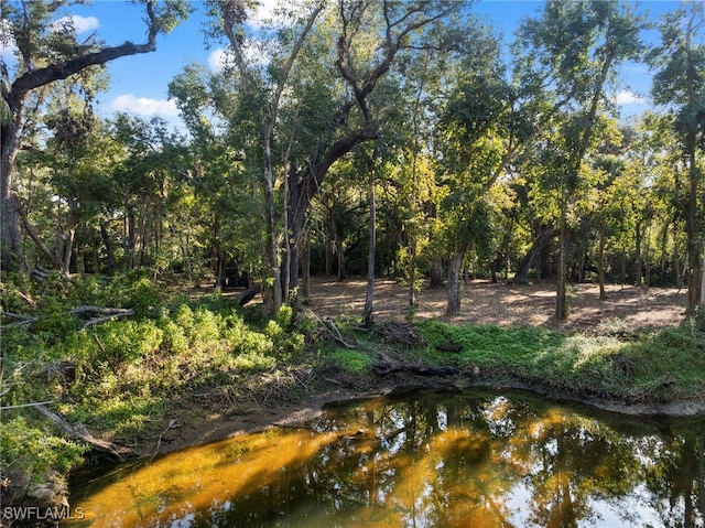 14330 Cemetery Rd, Fort Myers FL, 33905 land for sale