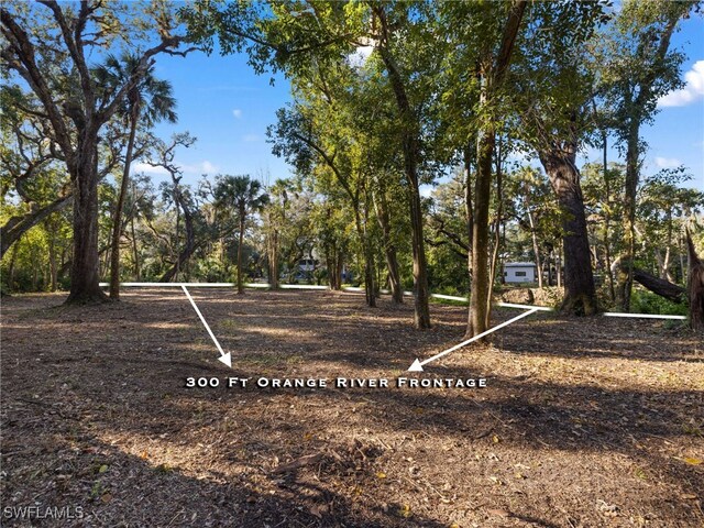 14330 Cemetery Rd, Fort Myers, FL 33905 - photo 6