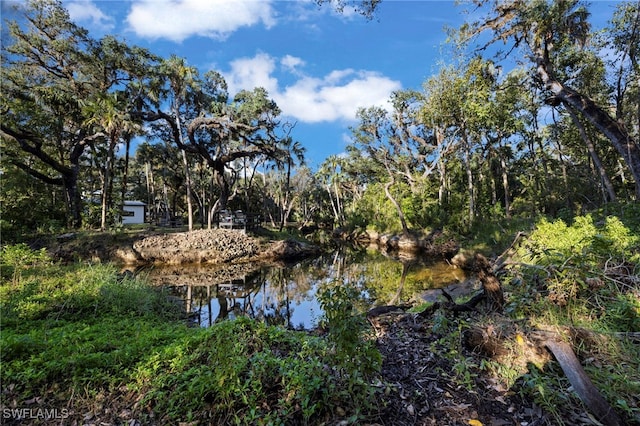 14330 Cemetery Rd, Fort Myers, FL 33905 - photo 1