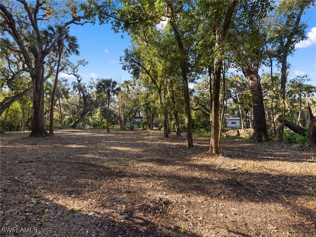 14330 Cemetery Rd, Fort Myers, FL 33905 - photo 9