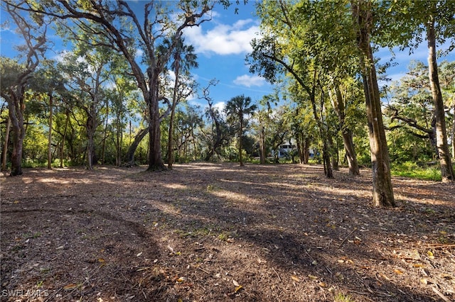 14330 Cemetery Rd, Fort Myers, FL 33905 - photo 11