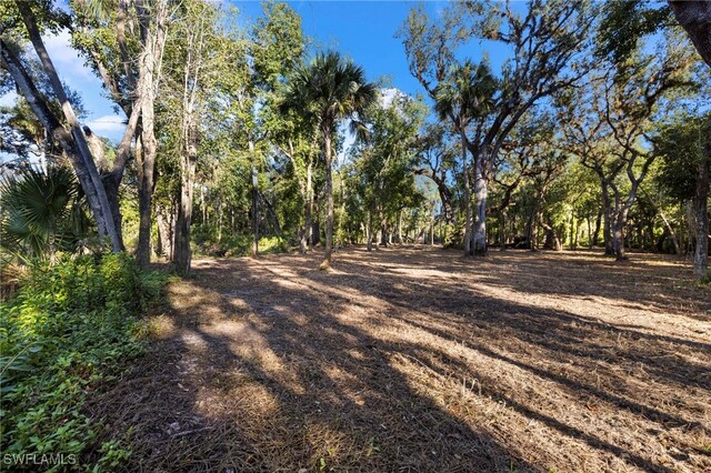 14330 Cemetery Rd, Fort Myers, FL 33905 - photo 14