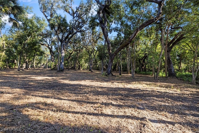 14330 Cemetery Rd, Fort Myers, FL 33905 - photo 15