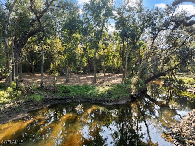 14330 Cemetery Rd, Fort Myers, FL 33905 - photo 16