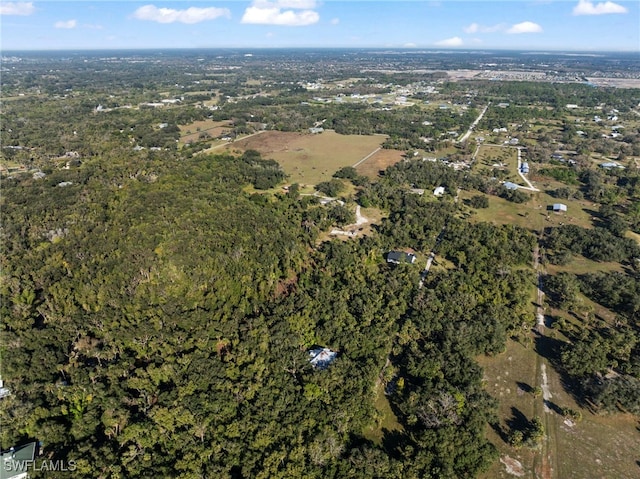 14330 Cemetery Rd, Fort Myers, FL 33905 - photo 39