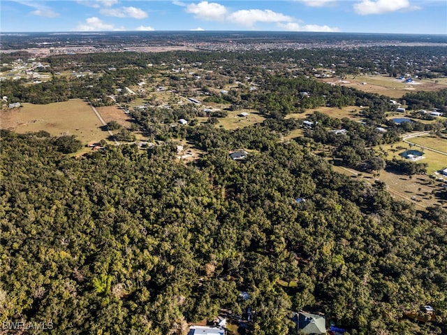 14330 Cemetery Rd, Fort Myers, FL 33905 - photo 41