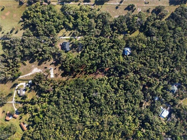14330 Cemetery Rd, Fort Myers, FL 33905 - photo 42