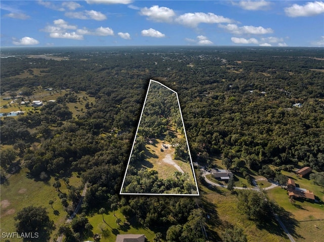 14330 Cemetery Rd, Fort Myers, FL 33905 - photo 46