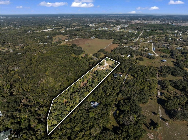 14330 Cemetery Rd, Fort Myers, FL 33905 - photo 48