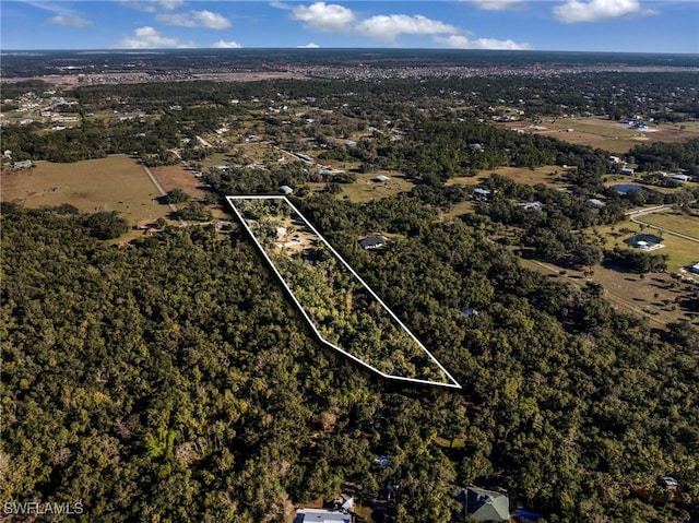 14330 Cemetery Rd, Fort Myers, FL 33905 - photo 49