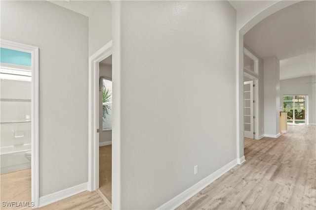 corridor with a healthy amount of sunlight and light wood-type flooring