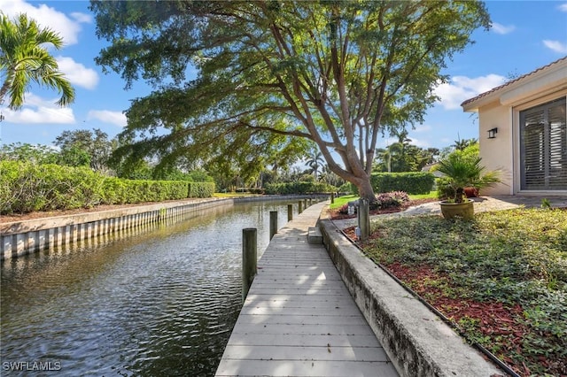 dock area with a water view