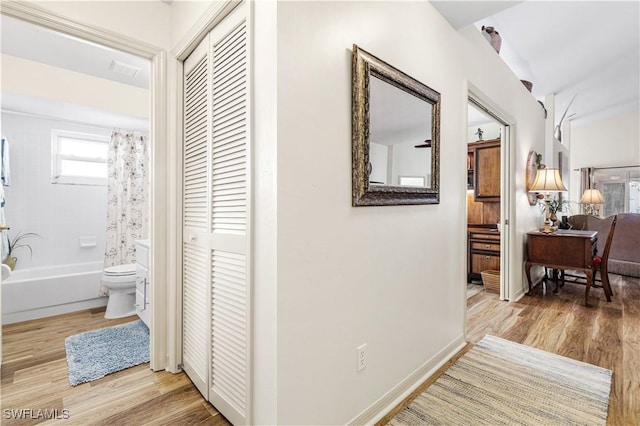 hallway featuring light hardwood / wood-style flooring