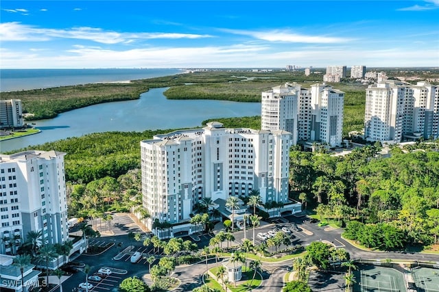 drone / aerial view with a water view