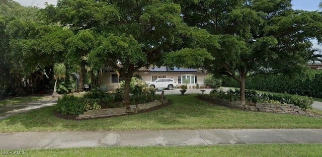 view of front facade with a front yard