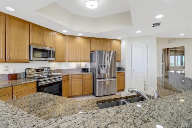 kitchen featuring light stone countertops, appliances with stainless steel finishes, sink, and a tray ceiling