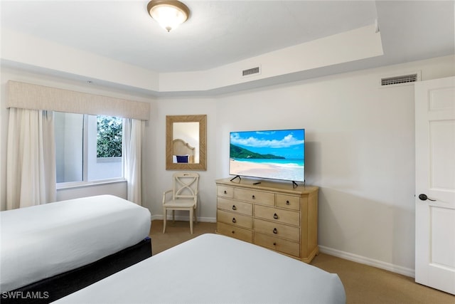 carpeted bedroom with a raised ceiling