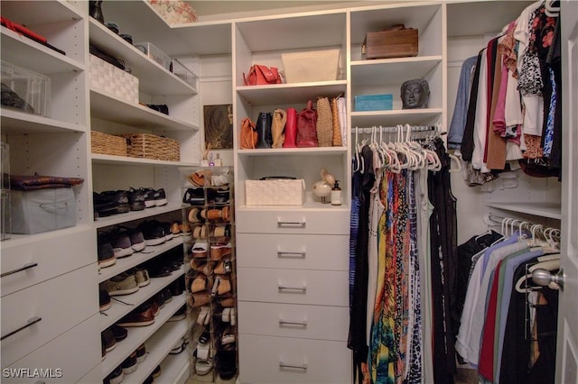 view of walk in closet