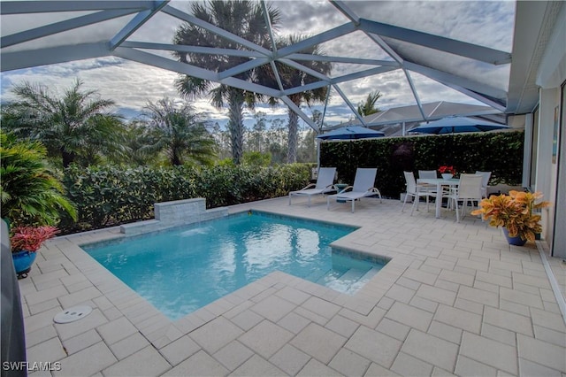 view of swimming pool with a patio area and a lanai