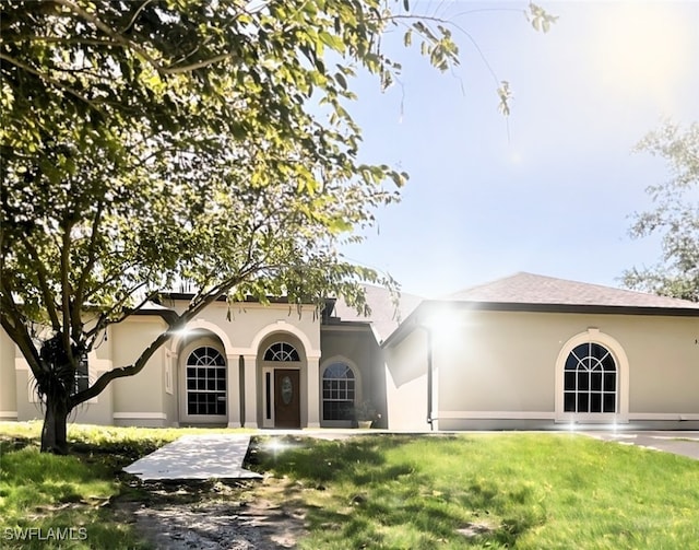 rear view of property with a yard