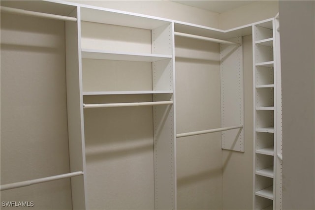 view of walk in closet