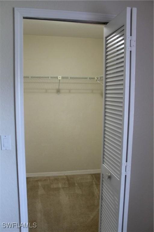 view of closet