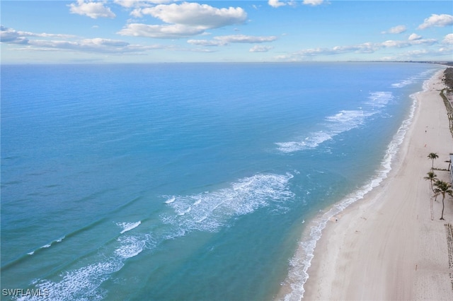 water view with a beach view