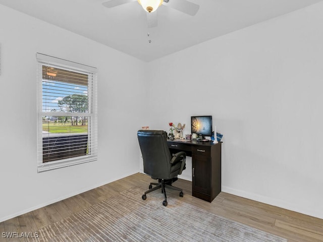 office space with light hardwood / wood-style floors and ceiling fan