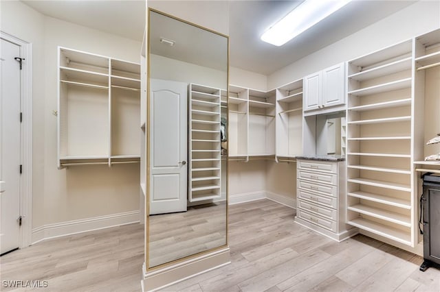 spacious closet featuring light wood-type flooring