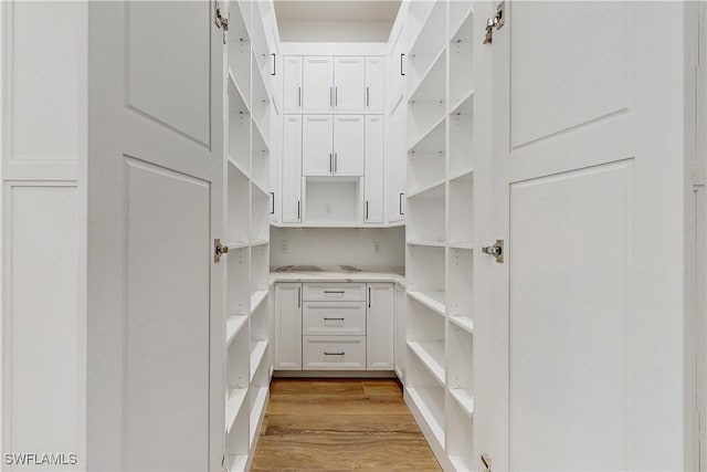 walk in closet featuring light hardwood / wood-style flooring