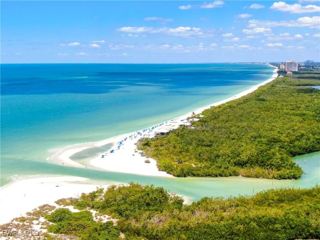 bird's eye view with a water view and a view of the beach