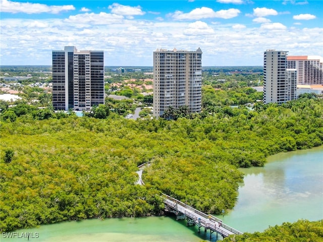 drone / aerial view with a view of city and a water view