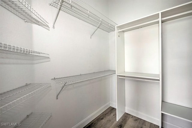 walk in closet with wood-type flooring