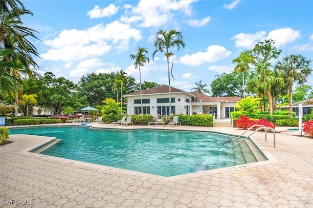 view of swimming pool featuring a patio