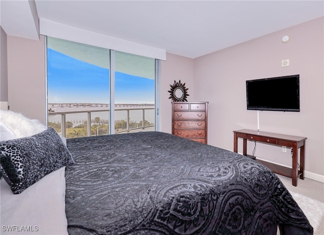 bedroom with carpet floors