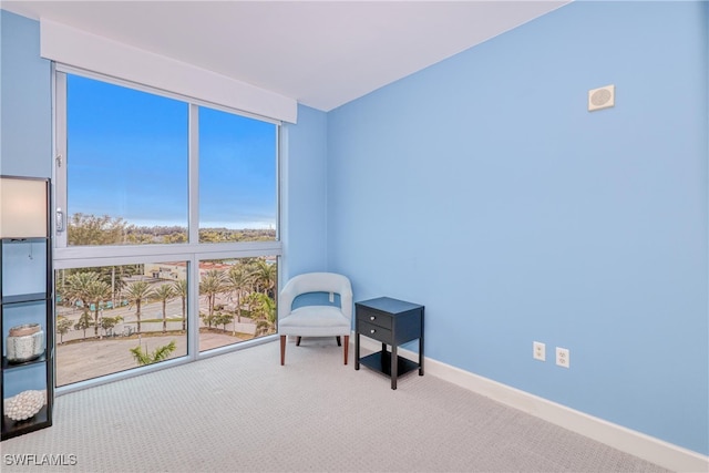 sitting room with carpet