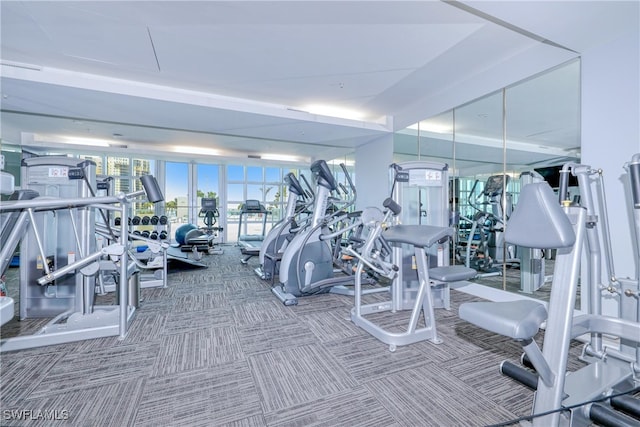 exercise room featuring carpet flooring